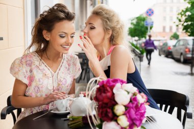 Two women in a bar clipart