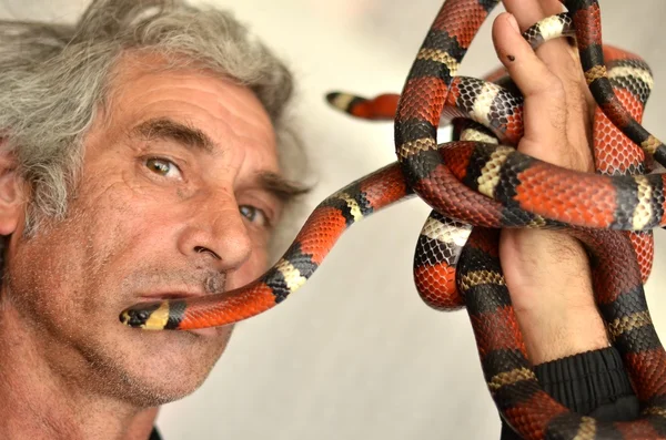 Man with Coral snake — Stock Photo, Image