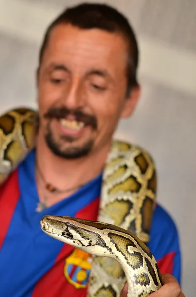 Mann hält Python in der Hand — Stockfoto