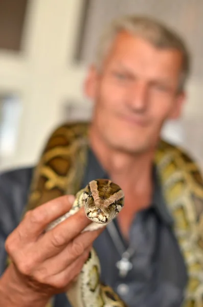 Man holding python — Stock Photo, Image