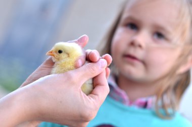 kız bebek portresi