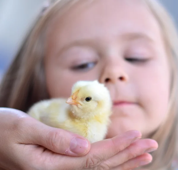 Portrait of a baby with chick — Stock Photo, Image