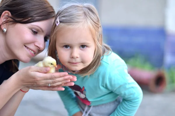 Baby and mother with chicken — Stock Photo, Image
