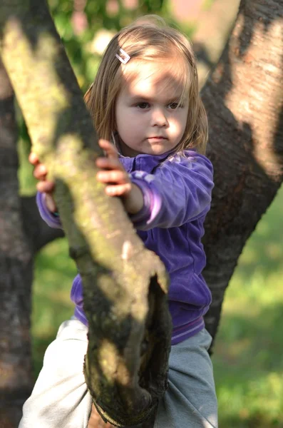 Mała dziewczynka na drzewie. — Zdjęcie stockowe