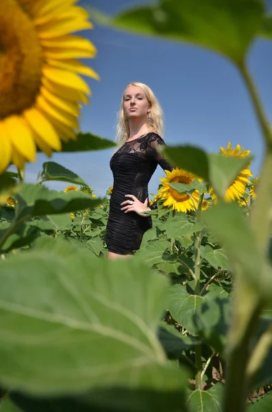 Портрет молодої жінки з соняшниками — стокове фото