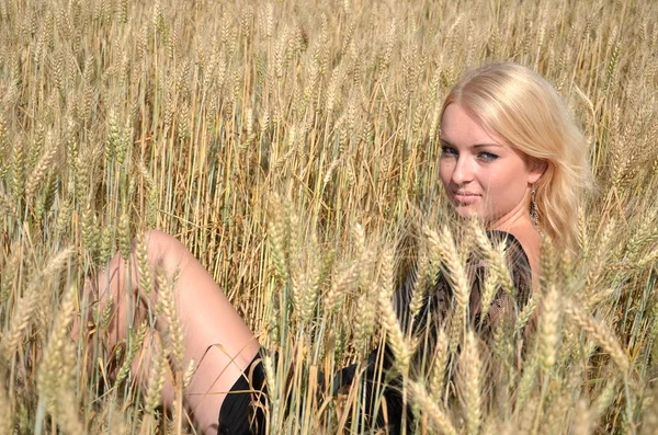 Блондинка в поле — стоковое фото
