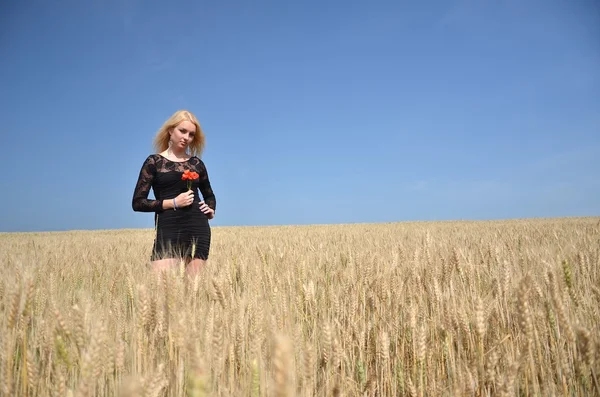 Femme blonde dans le champ — Photo