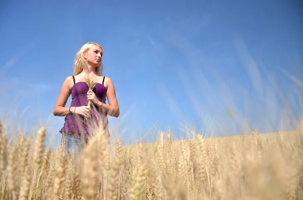 Blond kvinna i fältet — Stockfoto