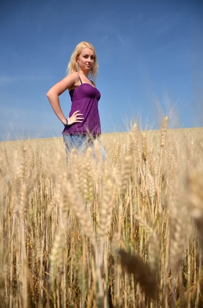 性感的女人一朵花金黄小麦 — 图库照片