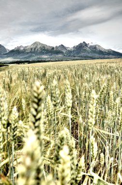 yüksek tatras, Slovakya