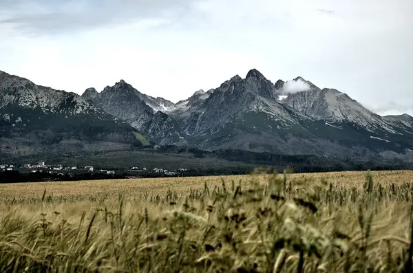 Hoge Tatra, Slowakije — Stockfoto