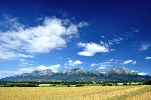 Pohled na vrcholky hor v létě ve Vysokých Tatrách — Stock fotografie