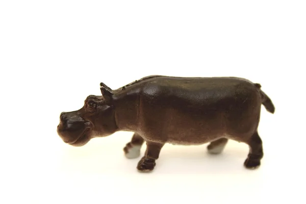 Zabawka hipopotam — Zdjęcie stockowe