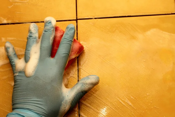 stock image Cleaning the bathroom