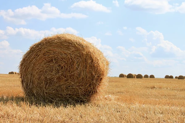 Höstens jordbrukslandskapet — Stockfoto