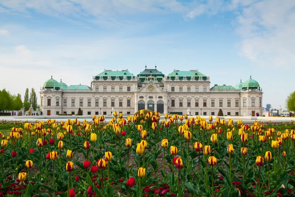 벨베데레 궁전 비엔나 오스트리아 — 스톡 사진