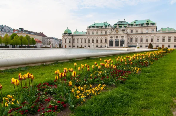 Belvedere palast wien Österreich — Stockfoto