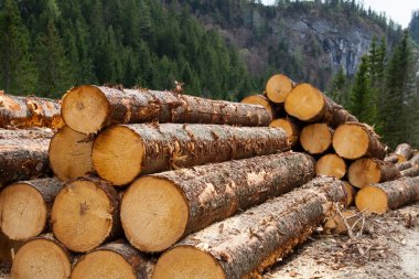 Timber logging in Austrian Alps clipart