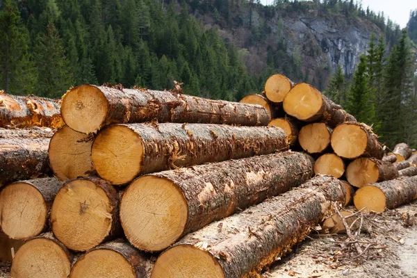 测井在奥地利阿尔卑斯山的木材 — 图库照片