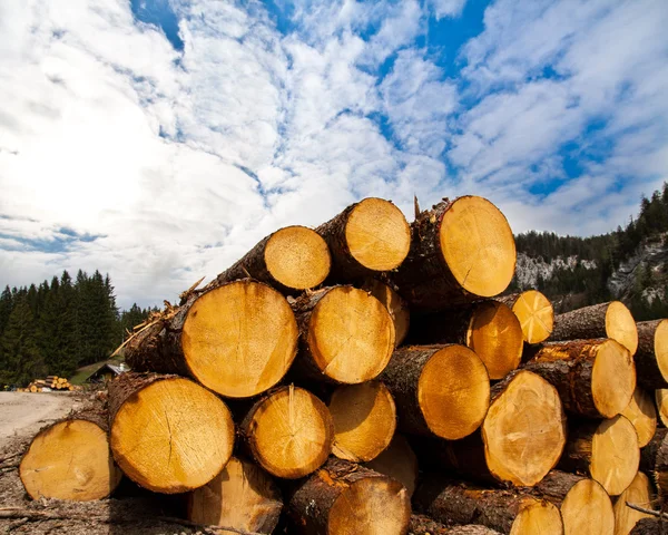 Ξυλεία logging μέσα Αυστριακές Άλπεις — Φωτογραφία Αρχείου