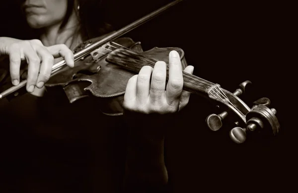 Musician playing violin — Stock Photo, Image