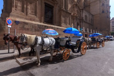 Malaga'da turizm nakliye