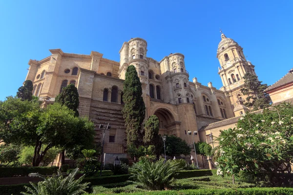 Malaga kathedraal — Stockfoto