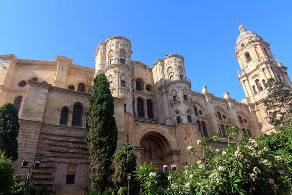 stock image Malaga Cathedral