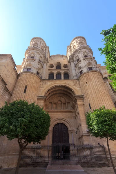 stock image Malaga Cathedral