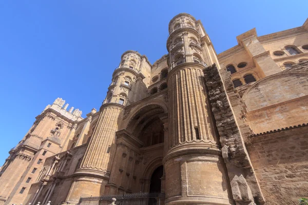 Malaga kathedraal — Stockfoto
