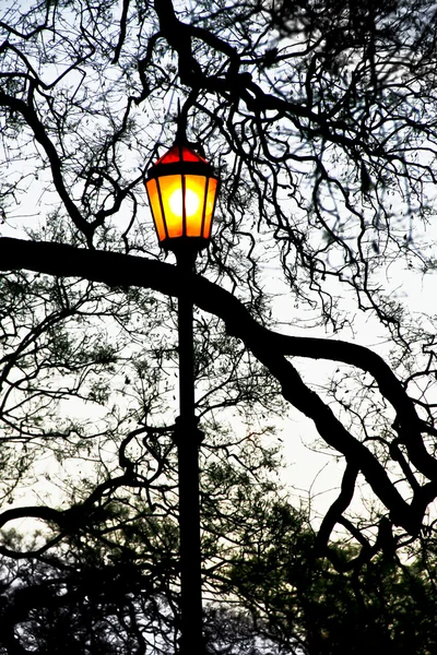 Streetlamp. — Stock Photo, Image