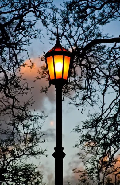 Streetlamp. 스톡 이미지