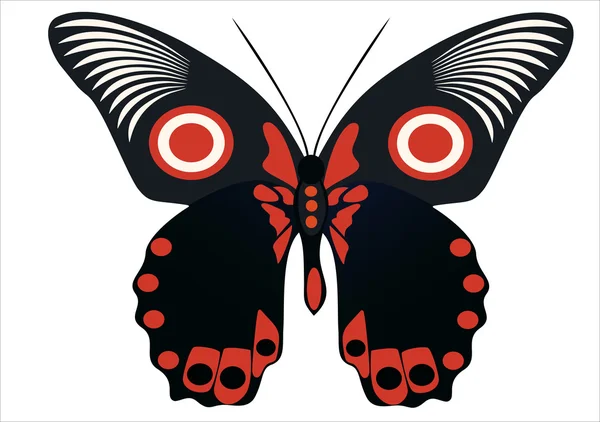 Mariposa aislada — Archivo Imágenes Vectoriales
