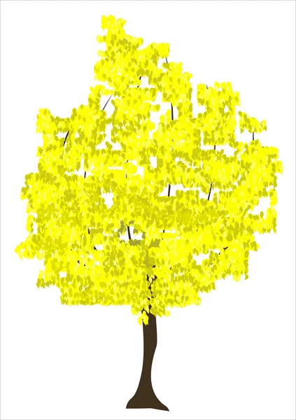 Vektorová ilustrace podzimního stromu — Stockový vektor
