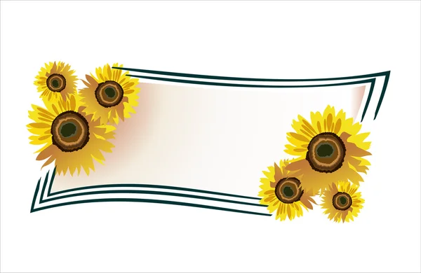 Vector sunflower. — Stock Vector