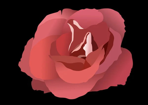 Schöne Nahaufnahme rote Rose — Stockvektor