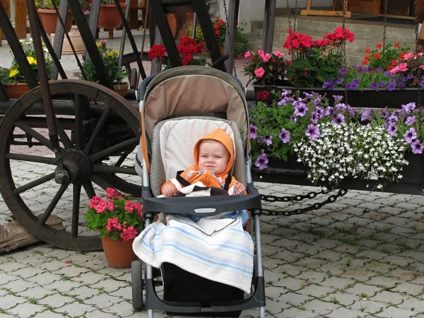 Child in a stroller with flowers — Stock Photo, Image