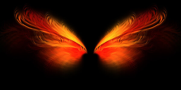 Hell butterfly wings