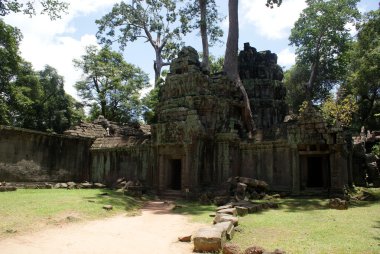 Antik ta angkor, ipek - pamuk ağacı tapınakta prohn antik kalıntılar, Kamboçya tüketir