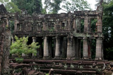 Antik ta angkor, ipek - pamuk ağacı tapınakta prohn antik kalıntılar, Kamboçya tüketir