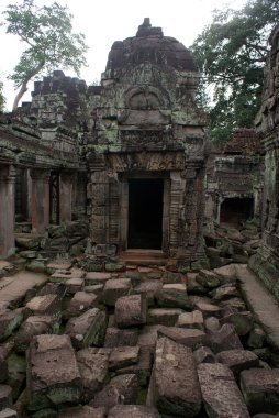 Antik ta angkor, ipek - pamuk ağacı tapınakta prohn antik kalıntılar, Kamboçya tüketir