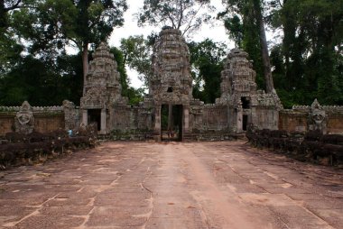 Antik ta angkor, ipek - pamuk ağacı tapınakta prohn antik kalıntılar, Kamboçya tüketir