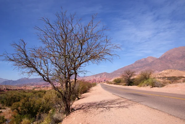 Road in Cafayate, Argentina — Stock Photo, Image