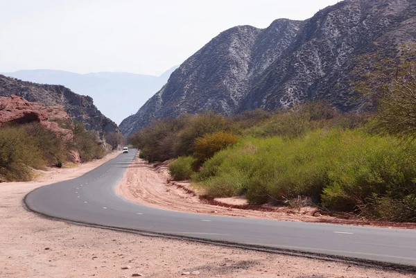 stock image Road in Cafayate, Argentina