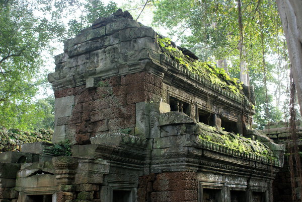 Ancient Ta prohn temple in Angkor, silk-cotton tree consumes the ancient ruins in Cambodia