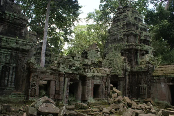 Templo de Ta prohn antigo em Angkor, árvore de seda-algodão consome as ruínas antigas, Camboja — Fotografia de Stock