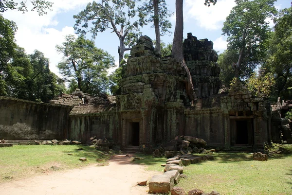 Ancient Ta prohn temple in Angkor, silk-cotton tree consumes the ancient ruins, Cambodia — Stock Photo, Image