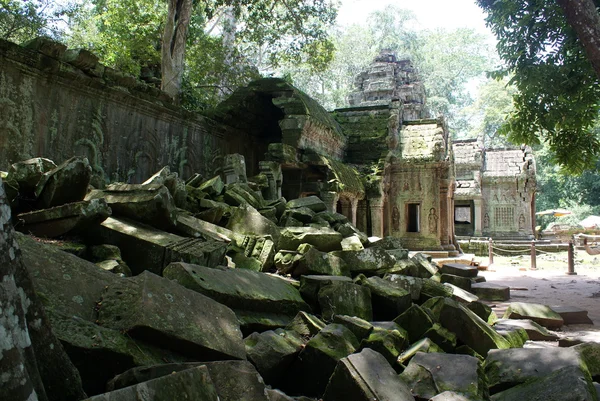 Antico tempio di Ta Prohn ad Angkor, albero di seta-cotone consuma le antiche rovine, Cambogia — Foto Stock