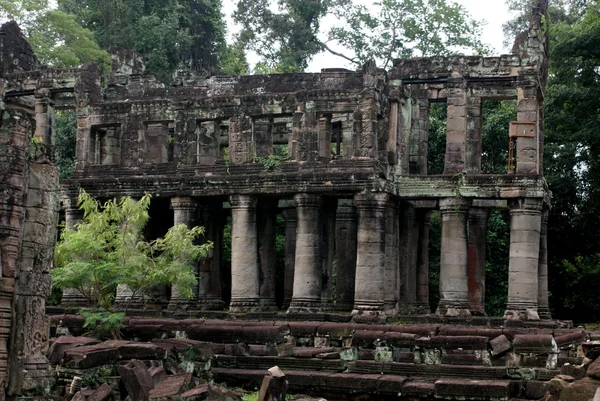Ősi Ta prohn templom, Angkor, selyem - pamut fa fogyaszt az ősi romok, Kambodzsa — Stock Fotó