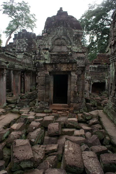Antico tempio di Ta Prohn ad Angkor, albero di seta-cotone consuma le antiche rovine, Cambogia — Foto Stock